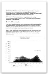 1996 Page 35
